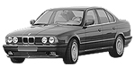 BMW E34 P2BAC Fault Code